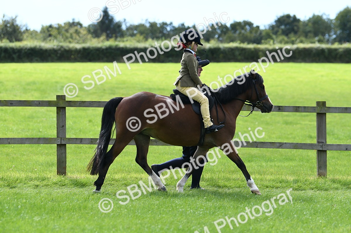 SBM_42527 - S20 - Lead Rein Mountain & Moorland Pony