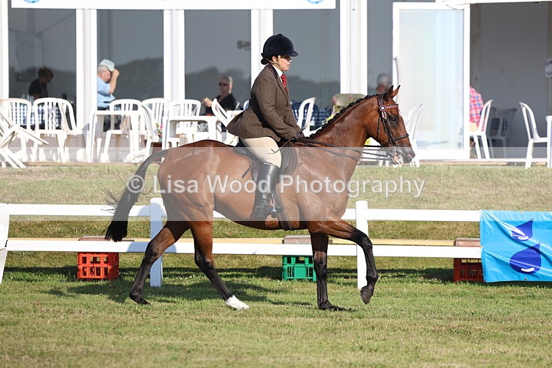 3E7A4946 - Class 1: Rising Star Small Hack/Riding Horses