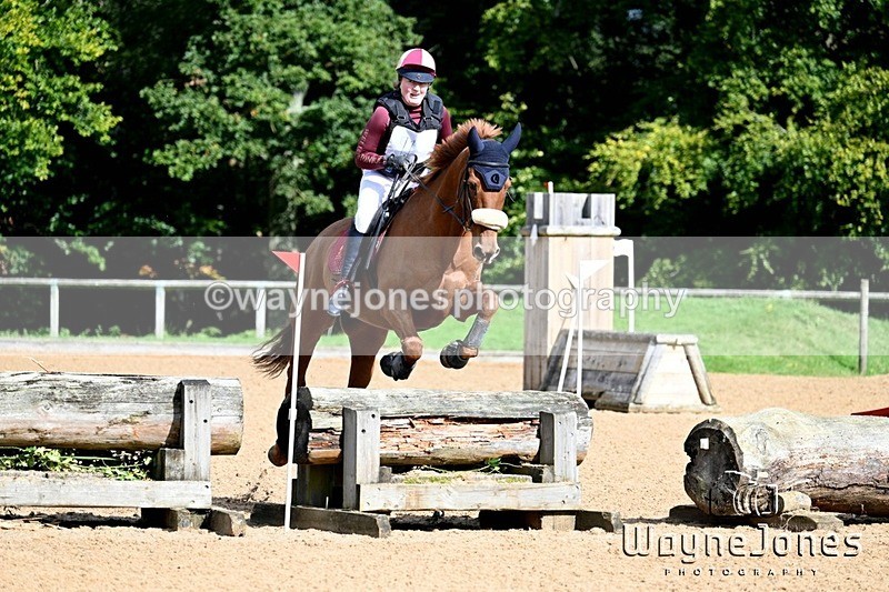 WJ7_3121 - edited examples