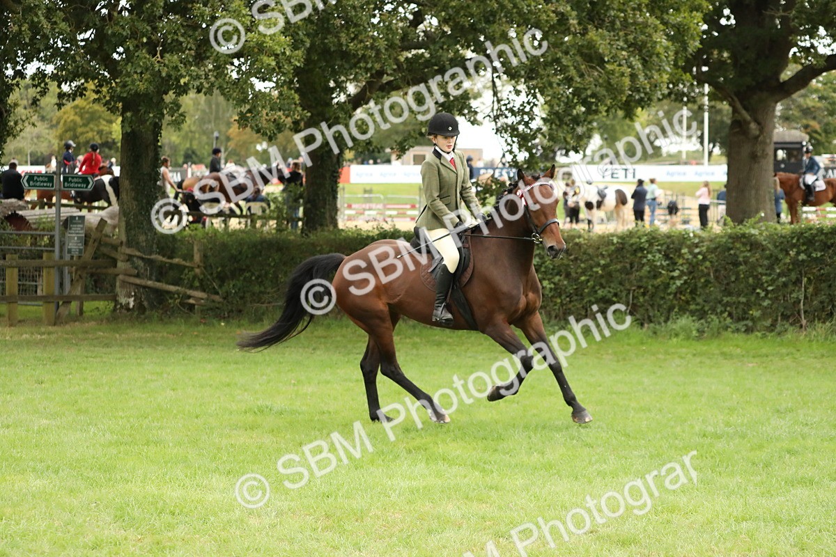 SBM_73723 - S41 - Ridden Equitation (Best Rider)