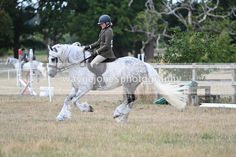 WJ7_5142 - Class 12 Ridden Cob