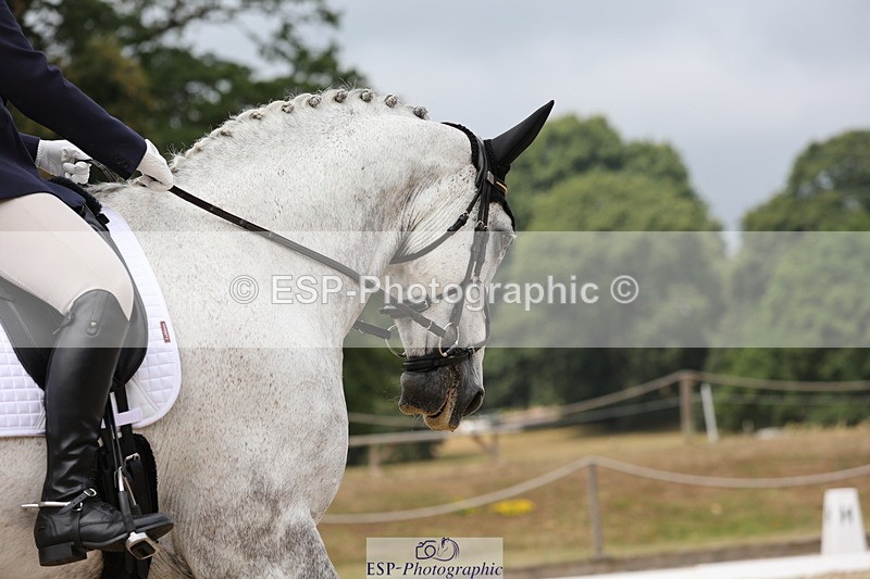 250718A-121112-01064 - 045-Eleanor.Martin-Ex.Sam.Fox.2.2011