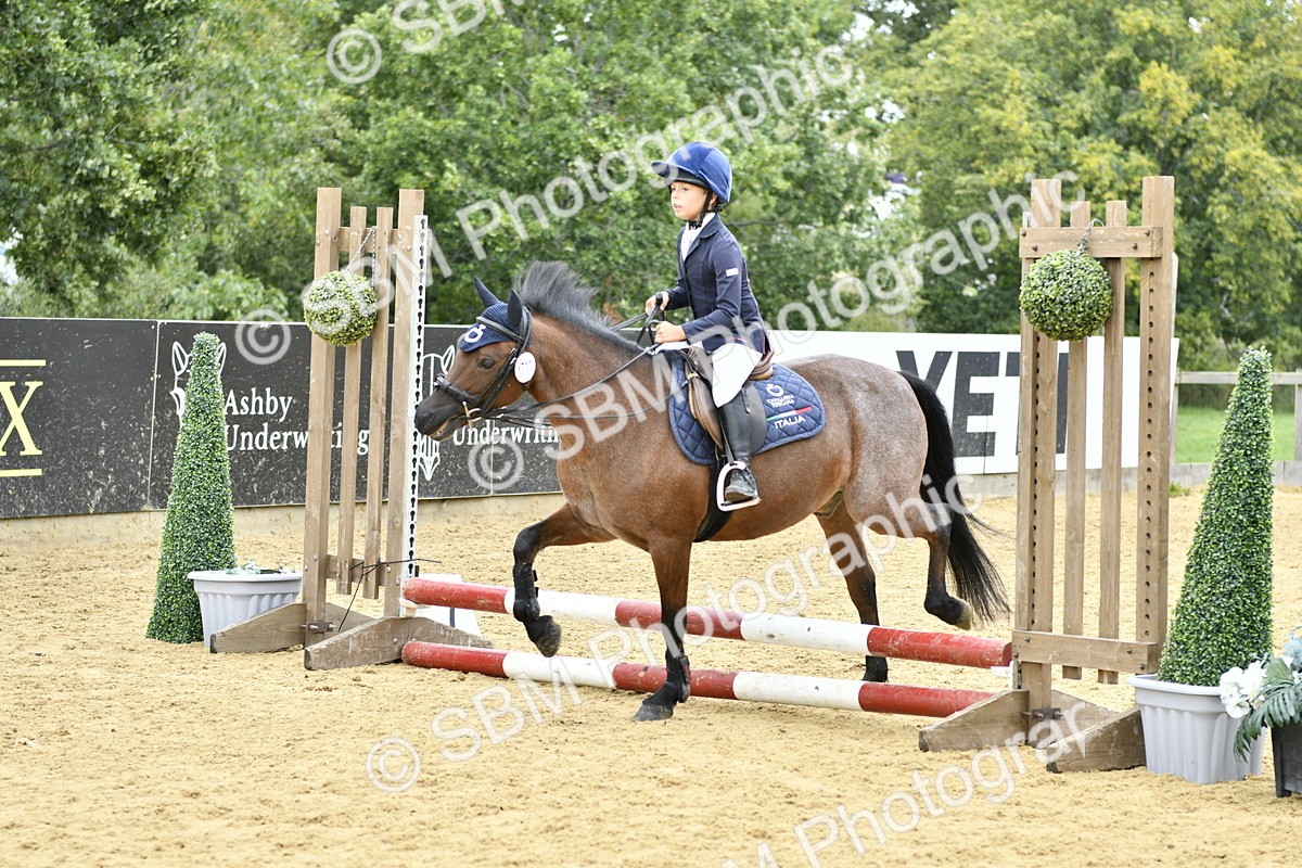 SBM_66167 - J2a mini Tour Junior Pony 30cm Championship