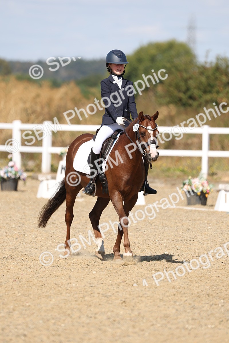 SBM_013724 - Class 1 - P5 Bronze 10.38.12.02
