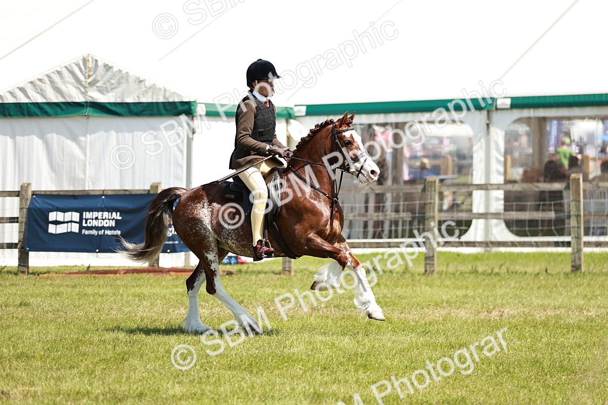 SBM_15523 - Class 108-109 - BSPS LIHS Open Gradle & Nursery Stakes