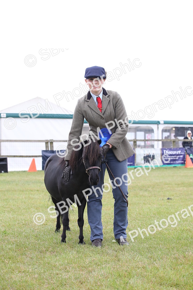 SBM_04018 - Class 23-25 - British Miniature Horse of the Year