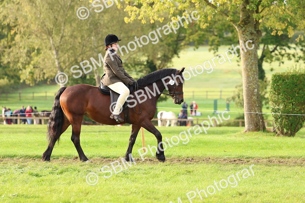 SBM_56542 - S40 - Starters Ridden Showing
