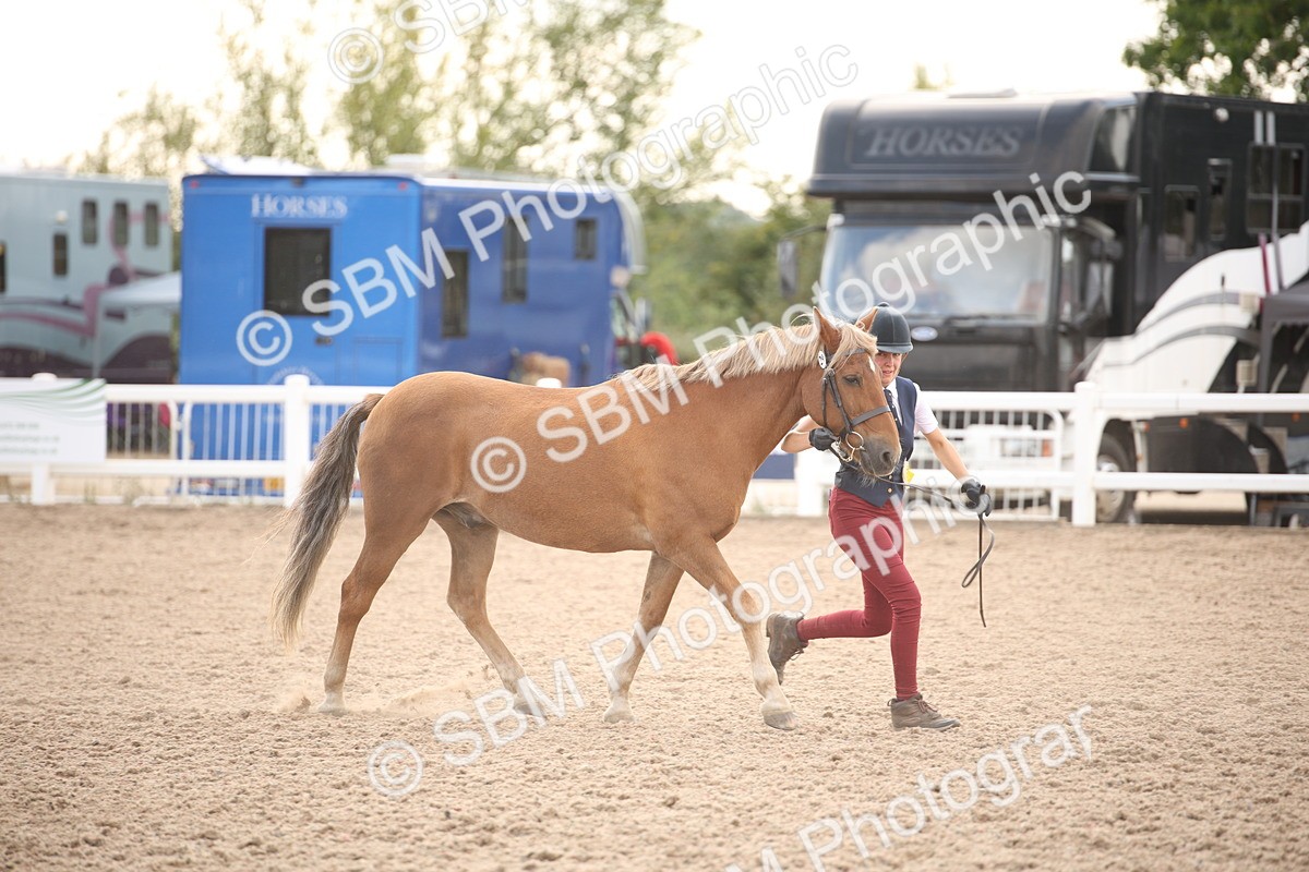 SBM_08274 - Class 27 - IH Competition Horse-Pony