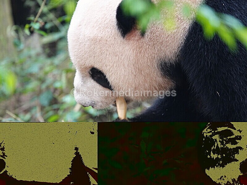 CHINA__0043 - China 2019