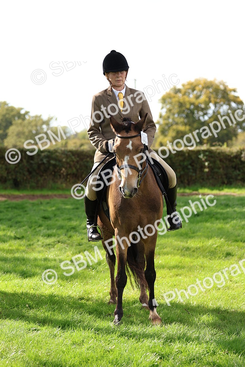 SBM_47725 - S28 - Veteran Ridden