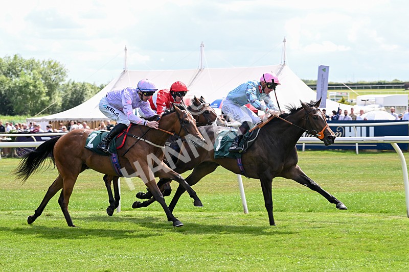 160725-Race 2-Shetakesthegold-8851 - Race 2