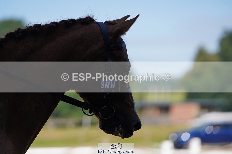 240719-100910-00492 - 270-Emma_Whatley-Bronheulog_Lord_Sugar