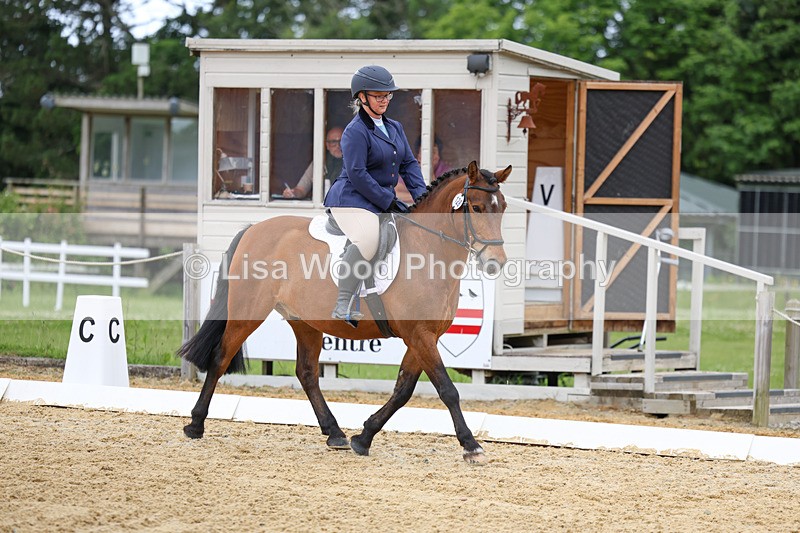 3E7A9548 - Class 2: Intro 1 2024 Section B