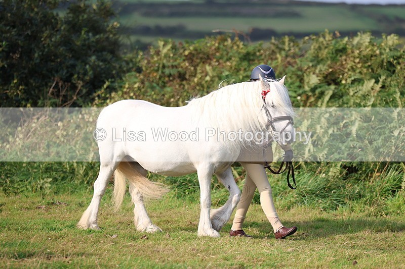 3E7A3200 - Class 12: M & M Small Breeds