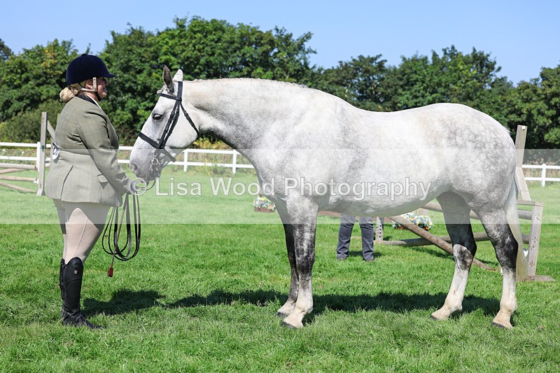 3E7A8480 - Class 4: Novice working Hunter