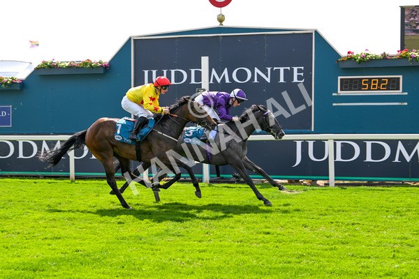 130625-Race 4-India Love-9262 - Race 4 3.35pm Juddmonte EBF Fillies' Restricted Novice Stakes
