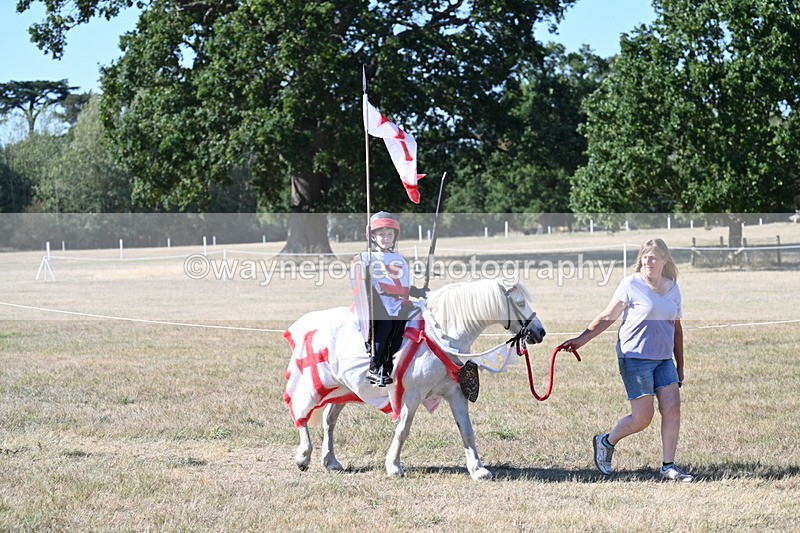 WJ7_2329 - Class 45 Fancy Dress (My Fav)