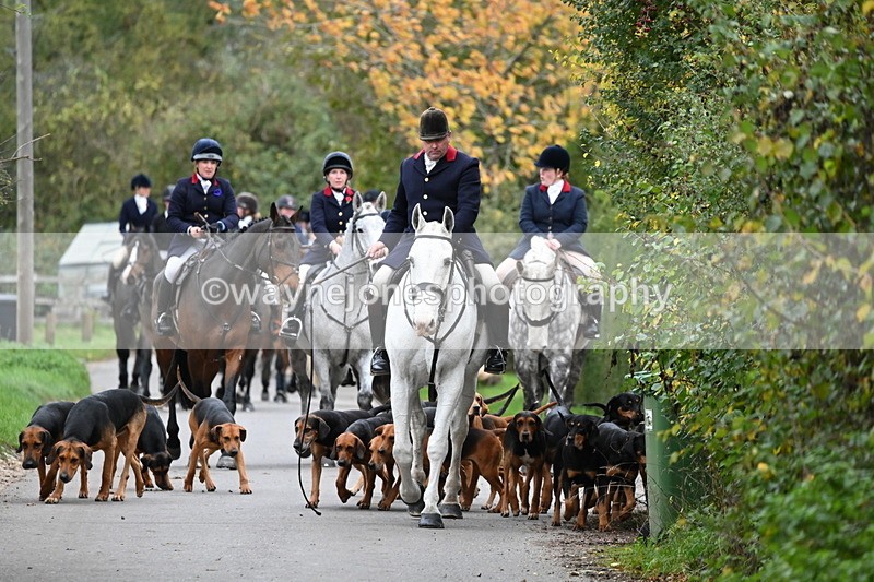 WJ6_8303 - Walk Home..