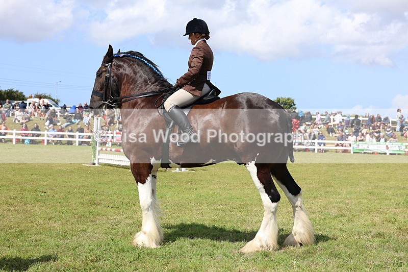 3E7A2920 - Class 13: Heavy Horse Ridden