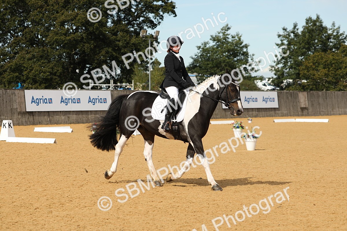 SBM_22191 - D17 - Grand Tour Championship - Novice 27