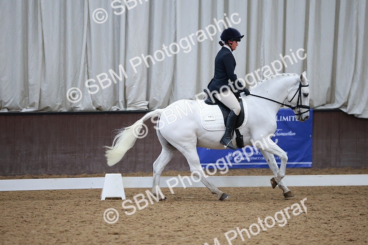 SBM_004510 - Ring 3 - International -  Working Hunter Classes 23-2-25