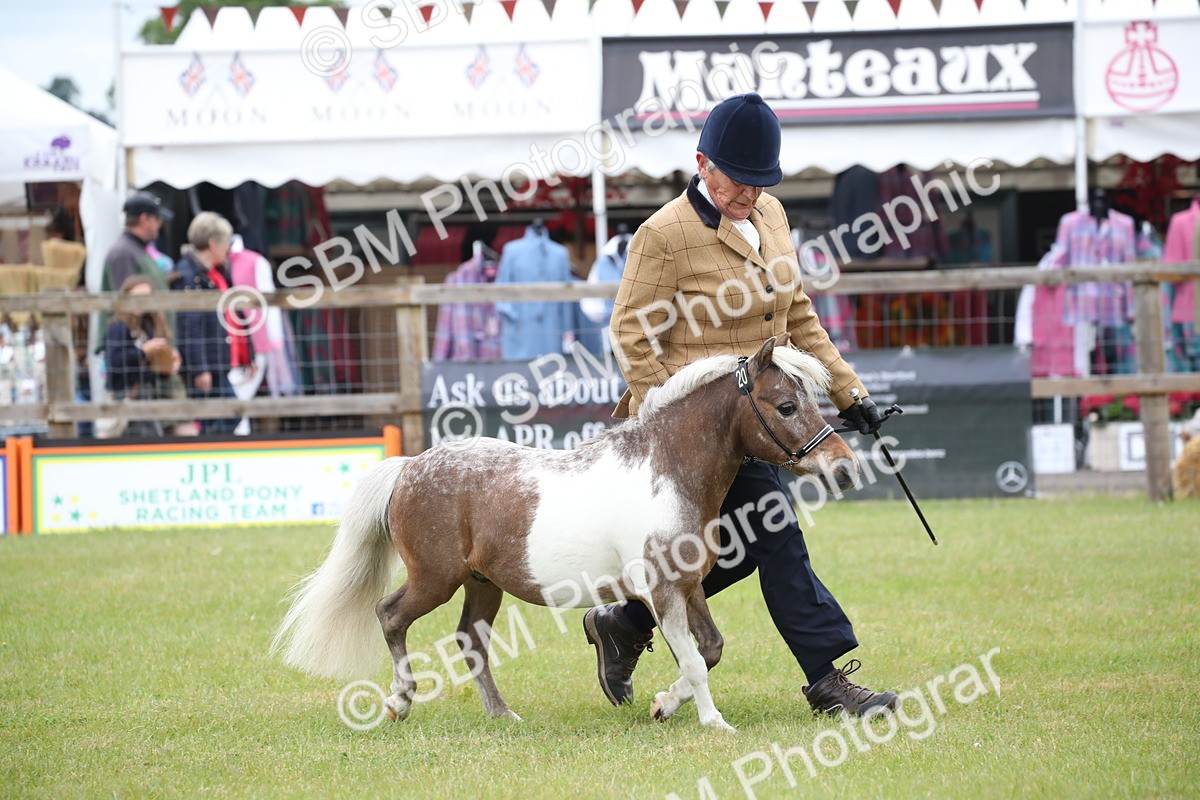 SBM_03741 - Class 23-25 - British Miniature Horse of the Year