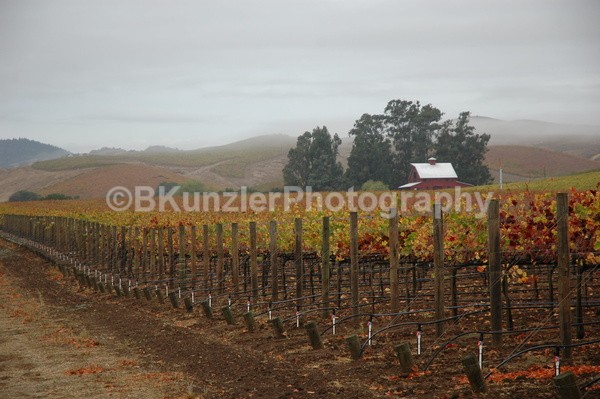  - Wine Country