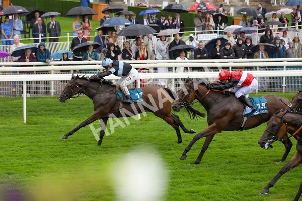 080924-Race 2-Duran-4382 - Race 2 2.15pm Fine Details Vehicle Valeting Handicap