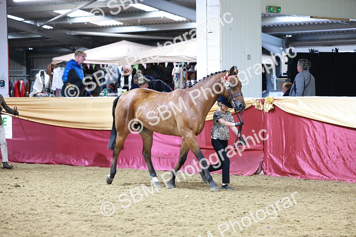 SBM_20002 - Class B - Junior Champ 11yr to 16 Years