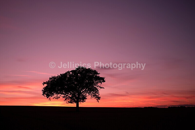  - Landscapes