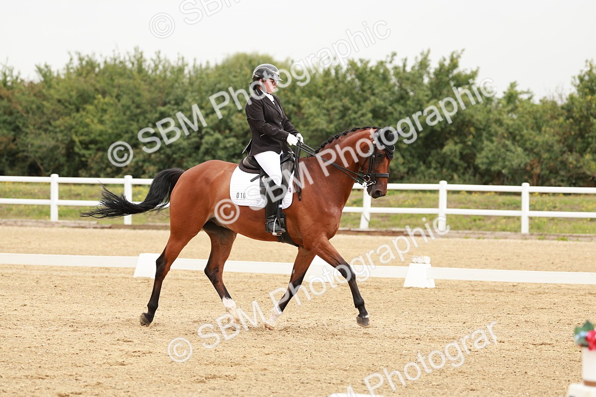 SBM_009301 - Class 12 - Elementary 6 - 10.50-11.50