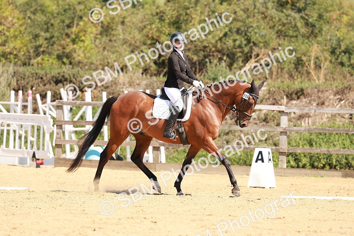 SBM_010815 - Class 7 - Novice 2