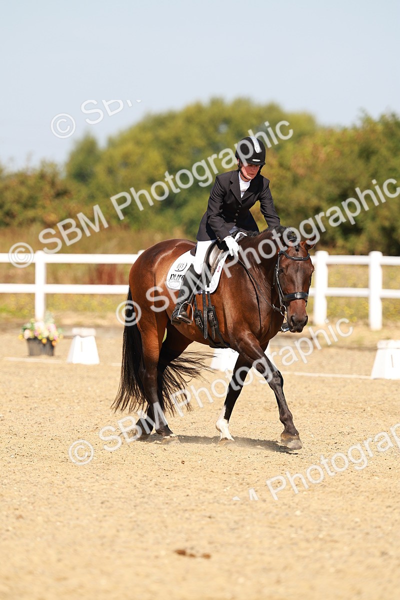 SBM_017710 - Class 9 - N5 Bronze 10.33.11.36