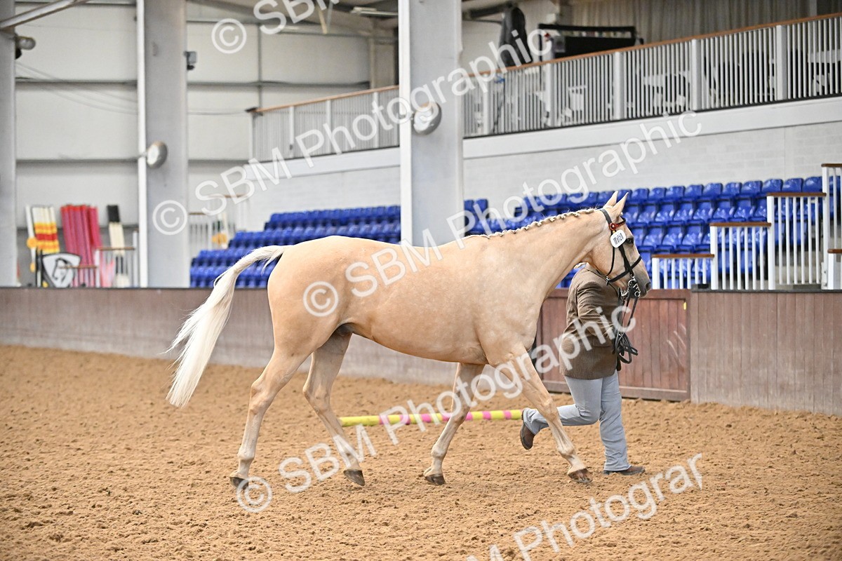 SBM_000670 - Class 11,12,13 - SSADL In Hand Seniors