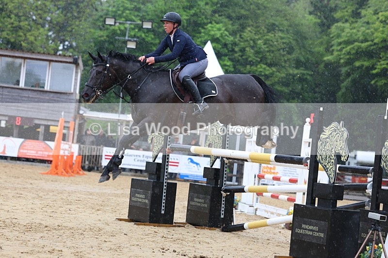 3E7A7357 - Class 8: Senior Foxhunter/1.20 open