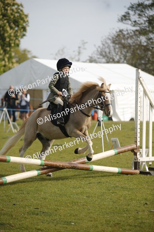 20260426-1043 - Class 1 - Mini Jumping - Lead rein or Assisted