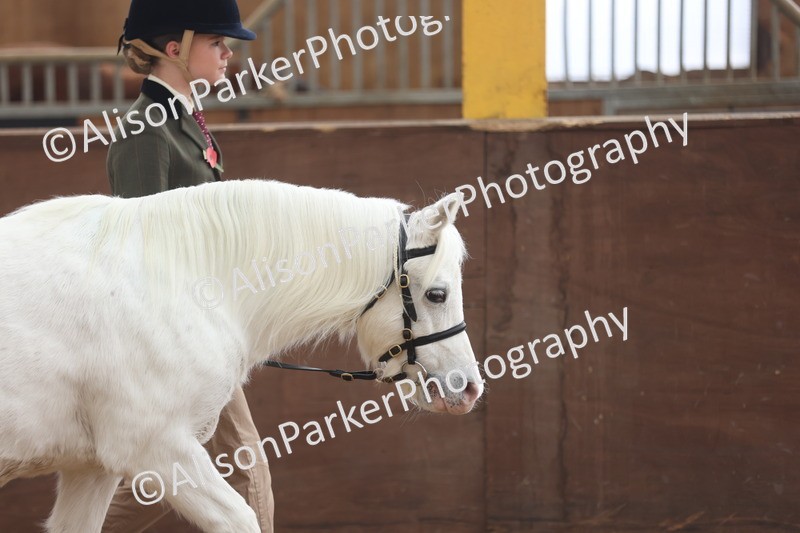 20251109-0547 - Class 21 - Mares 4 Years and over