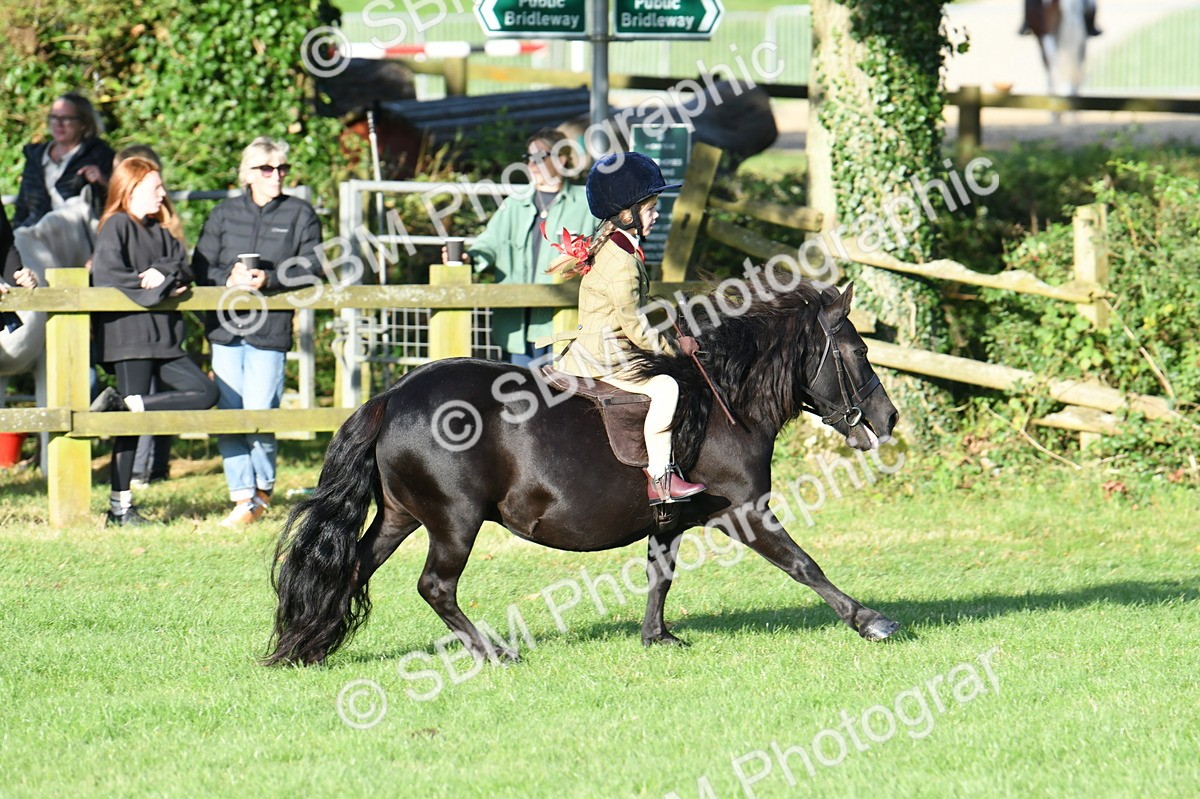 SBM_54062 - S23 - 1st Ridden Mountain & Moorland Pony