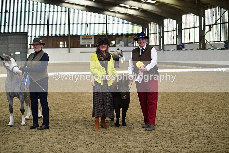 WJ5_5543 - Class 8 In hand cob