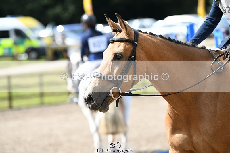 240825X-122238-32848 - 70cm SJ 11.40 to 12.30