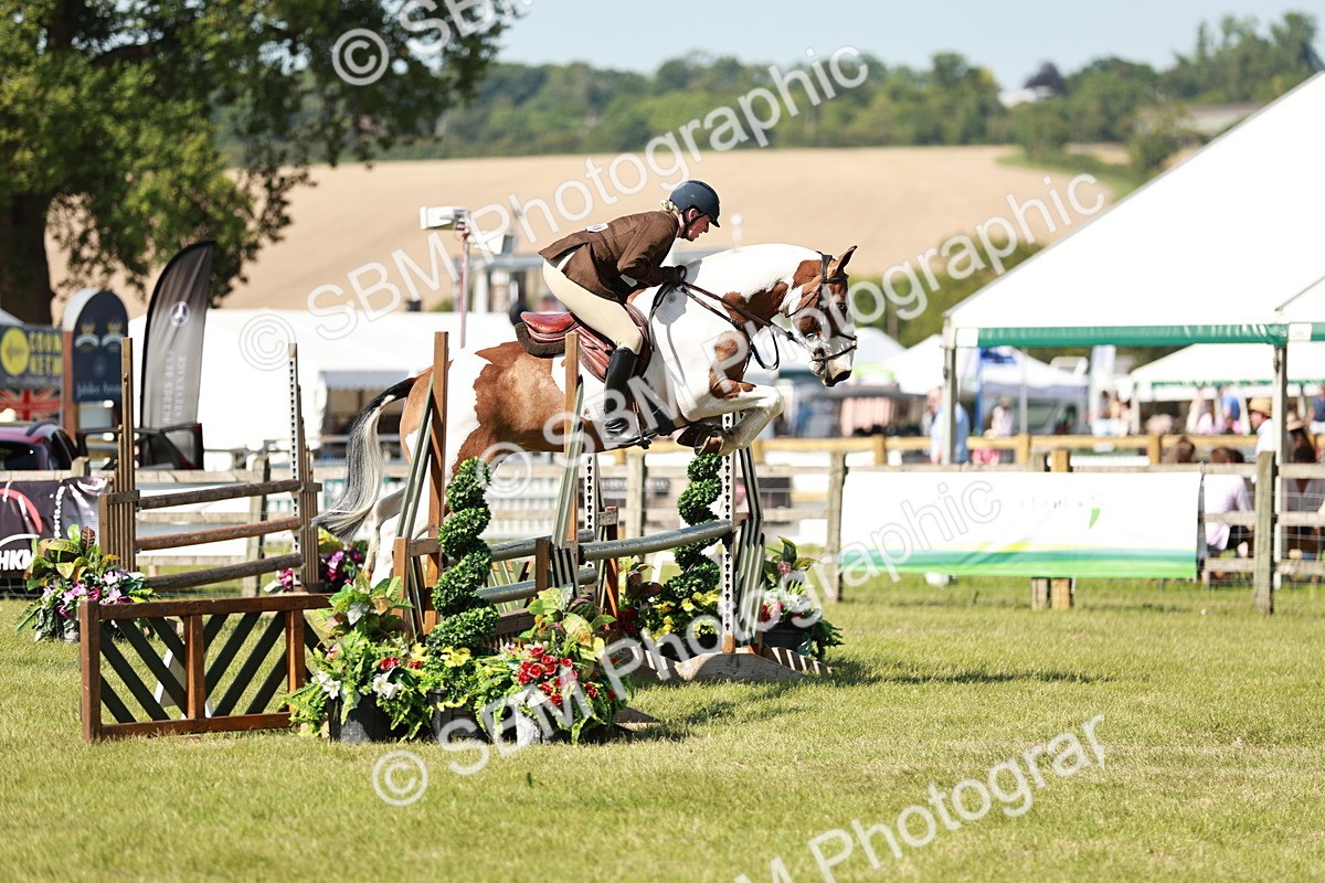 SBM_18787 - Class 114 - RIHS & SEIB Open Working Show Horse
