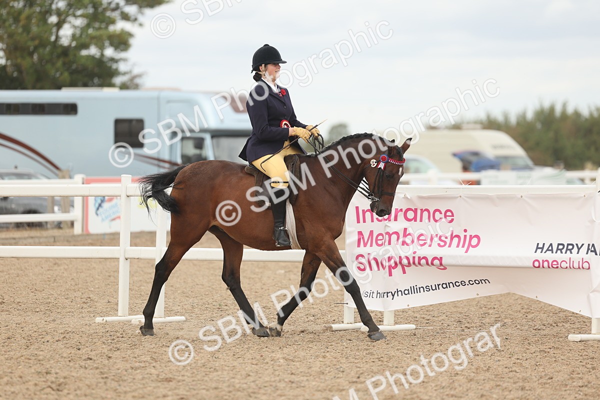 SBM_16085 - Class 311 - Ridden Show pony-Show hunter Pony