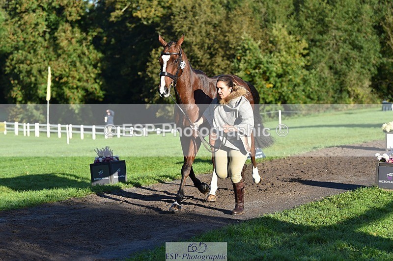 231022-093256-21868 - 559-STAR.ACADEMY-Harriet.Dickin-TrotUp+SJ