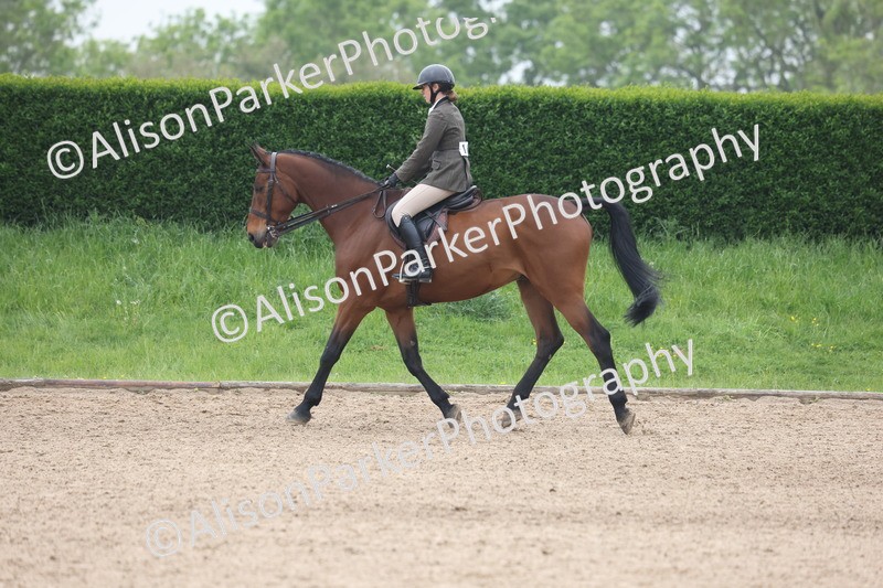 20260504-1111 - Class 14 - Cob and Hunter