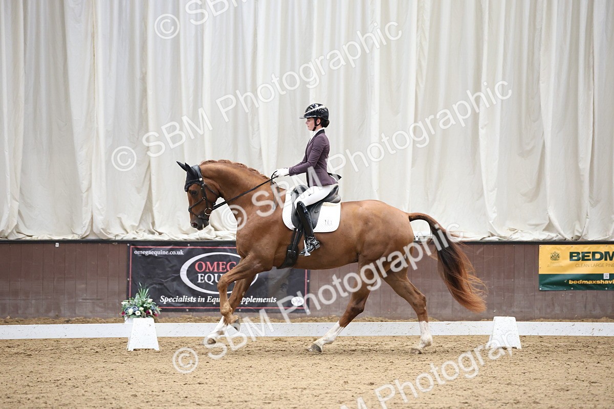 SBM_002816 - Class 5 - Novice 6 Gold - 10.24-11.30