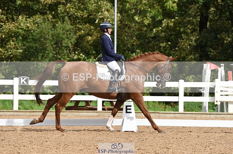 230912A-111310-00540 - Cls 7 Elementary 40