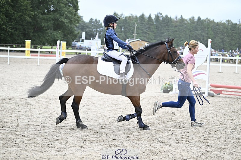 240822X-130240-07805 - 40cm LR R2 13.00 to 15.00