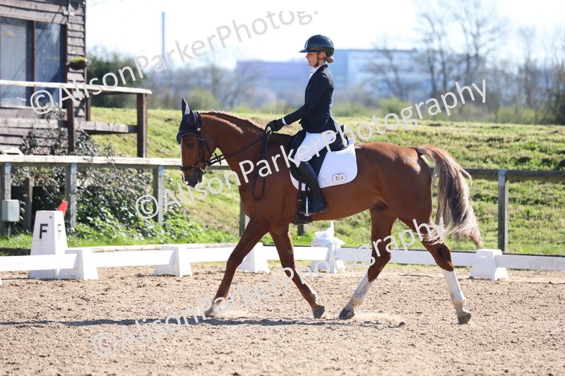 20260318-0519 - Class 5 - Novice 2