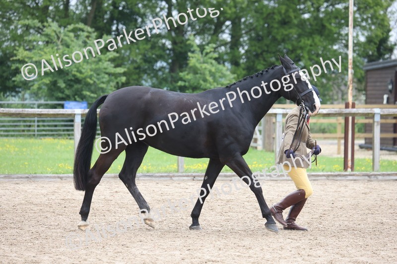 20260504-1375 - Class 8 - Cob and Hunter