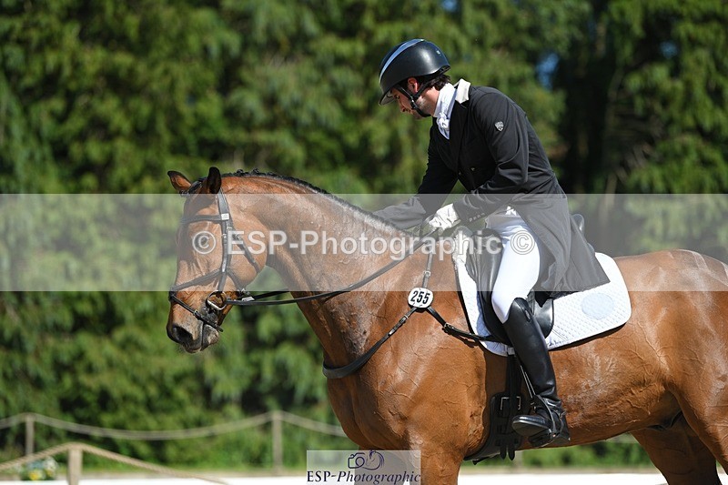 230526-161937-07338 - 255-HI_MR_HENRY-Henry_Hobby-WEDTrotUp+DR